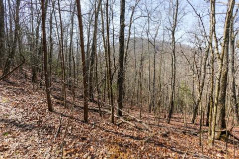 100 Ac Mica Mine Road Hayesville NC 28904