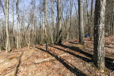 100 Ac Mica Mine Road Hayesville NC 28904