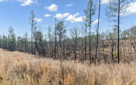 182 Vista Creek Drive Talking Rock GA 30175