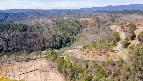 241 High River Crossing Ellijay GA 30540