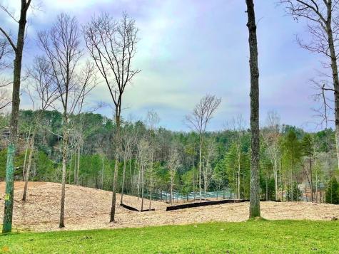 241 High River Crossing Ellijay GA 30540