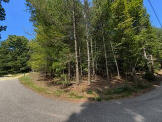 3.87 Ac Skeenah Highlands Road Blairsville GA 30512