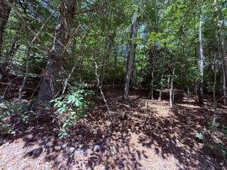 3.87 Ac Skeenah Highlands Road Blairsville GA 30512
