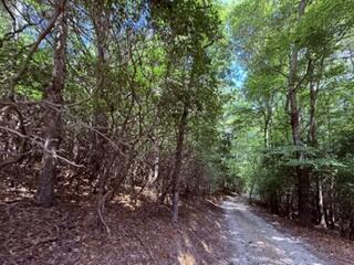 3.87 Ac Skeenah Highlands Road Blairsville GA 30512