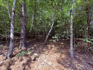 3.87 Ac Skeenah Highlands Road Blairsville GA 30512
