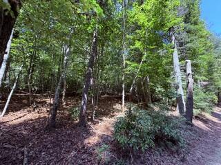 3.87 Ac Skeenah Highlands Road Blairsville GA 30512