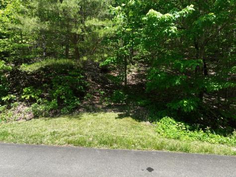 59 St Andrews Way Ellijay GA 30536