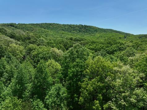 59 St Andrews Way Ellijay GA 30536