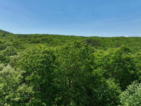 59 St Andrews Way Ellijay GA 30536