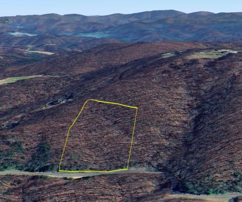 59 St Andrews Way Ellijay GA 30536