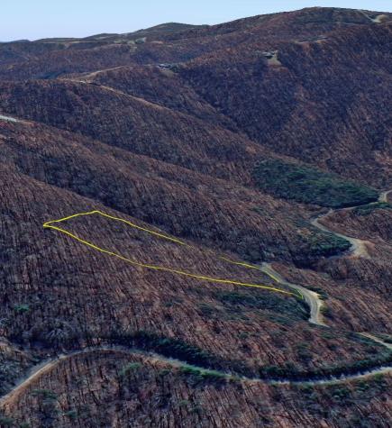 59 St Andrews Way Ellijay GA 30536