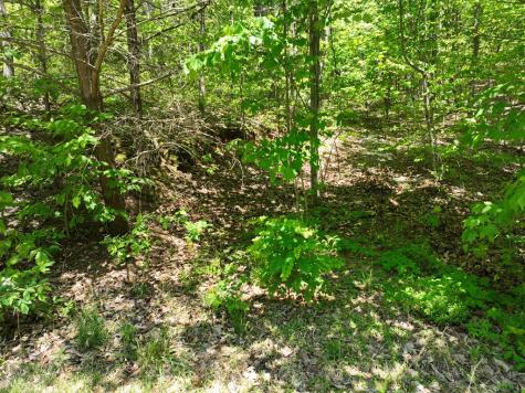 59 St Andrews Way Ellijay GA 30536