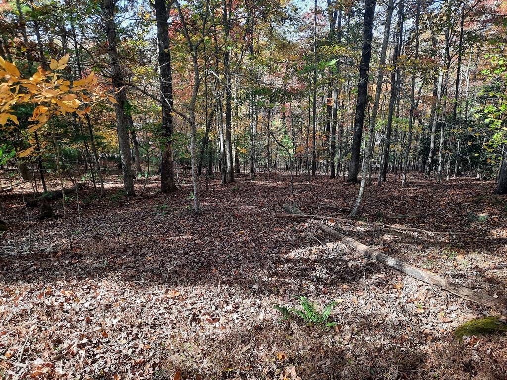 Lot 33 V Addington Road Blairsville GA 30512