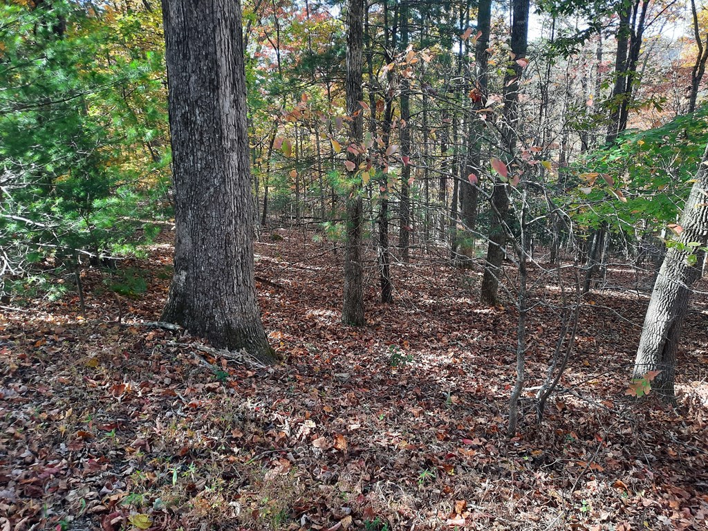 Lot 33 V Addington Road Blairsville GA 30512