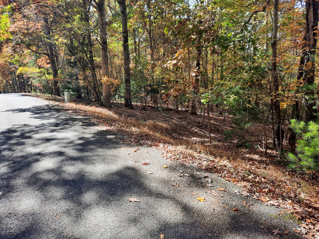 Lot 33 V Addington Road Blairsville GA 30512