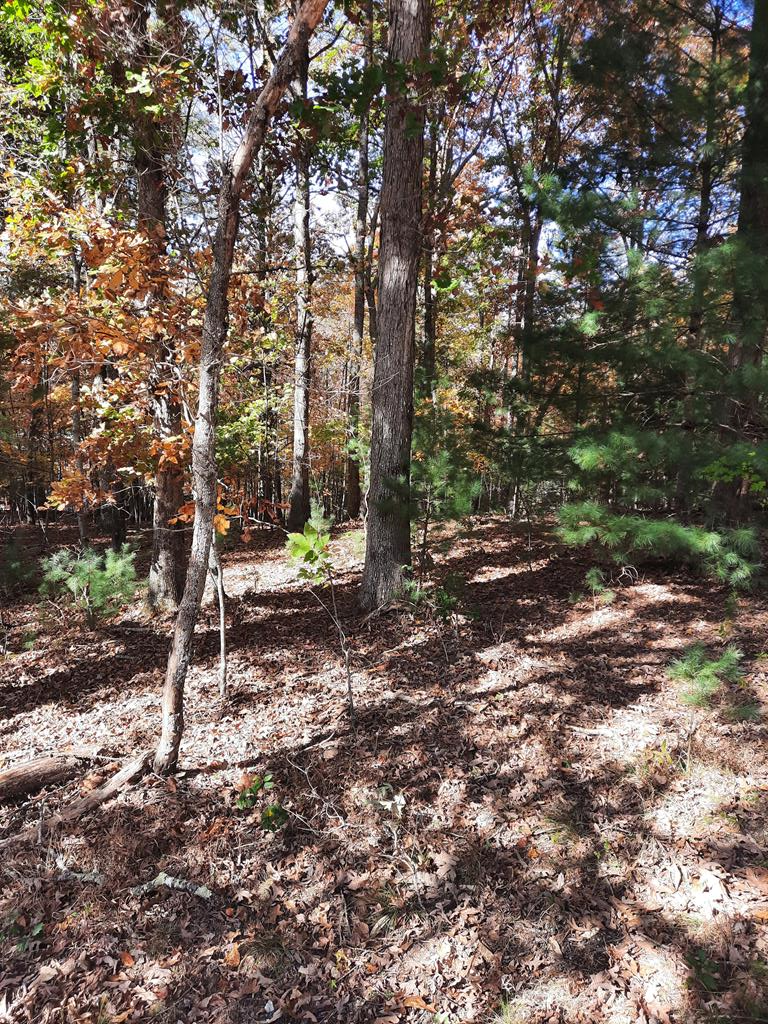 Lot 33 V Addington Road Blairsville GA 30512