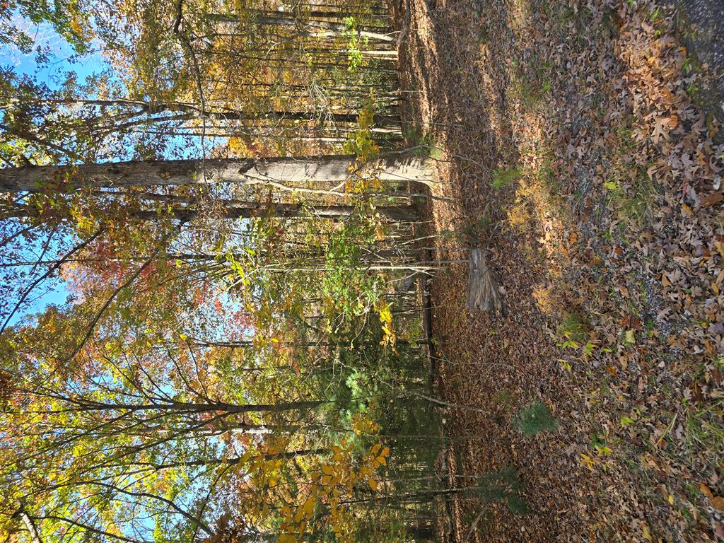 Lot 33 V Addington Road Blairsville GA 30512