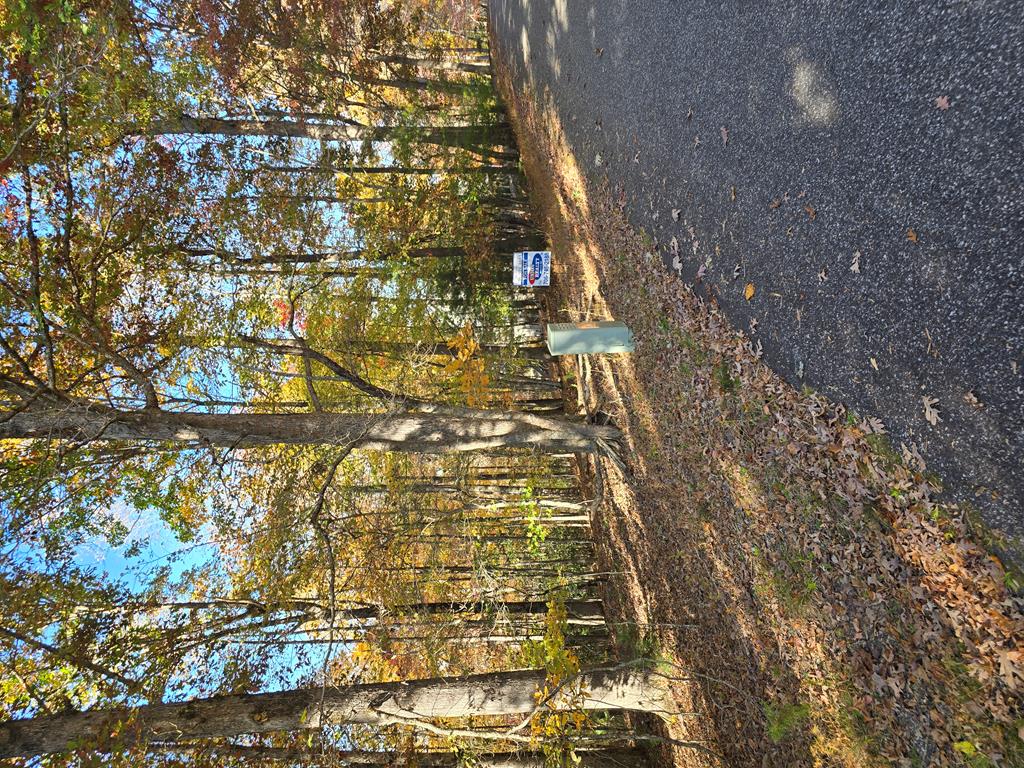 Lot 33 V Addington Road Blairsville GA 30512