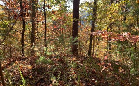 29 Lake Point Drive Murphy NC 28906