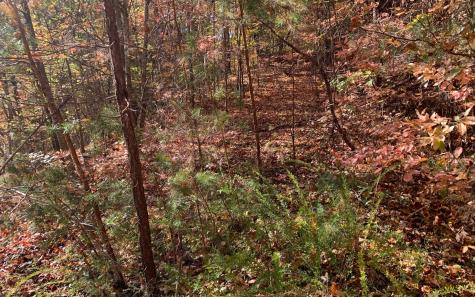 29 Lake Point Drive Murphy NC 28906