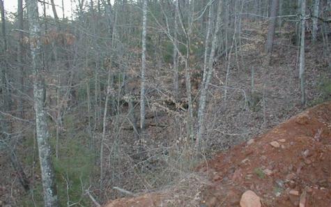 29 Lake Point Drive Murphy NC 28906