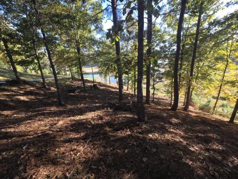7 Northshore Lot 7 Blairsville GA 30512