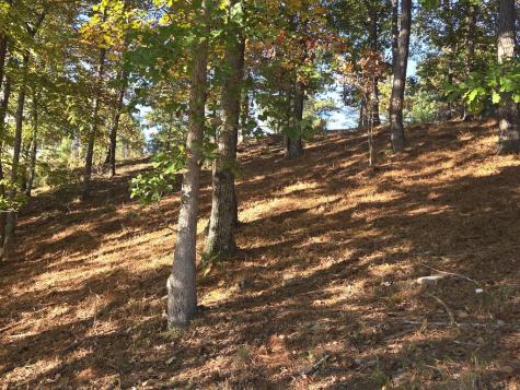 7 Northshore Lot 7 Blairsville GA 30512