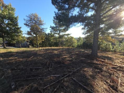 7 Northshore Lot 7 Blairsville GA 30512