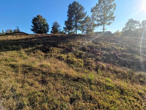 7 Northshore Lot 7 Blairsville GA 30512