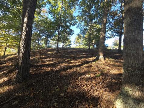 7 Northshore Lot 7 Blairsville GA 30512