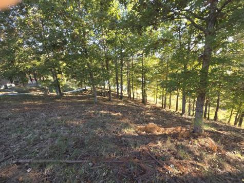 7 Northshore Lot 7 Blairsville GA 30512