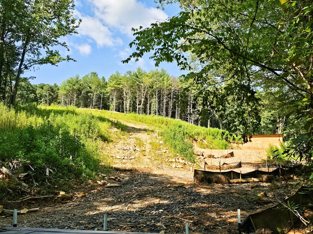 8.43 Ac River Cove Lane Hayesville NC 28904