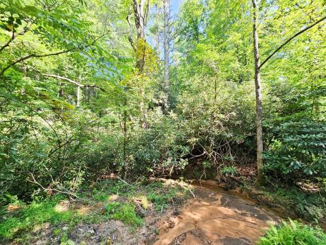 8.43 Ac River Cove Lane Hayesville NC 28904