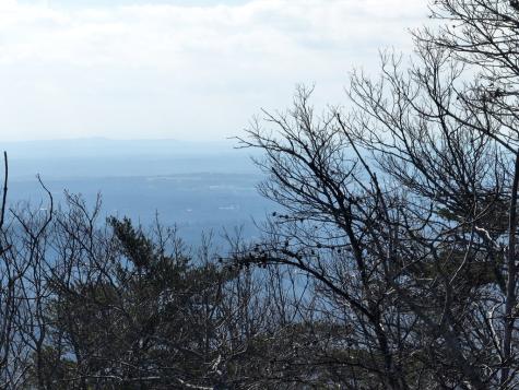 246 Andes Ridge Ellijay GA 30536