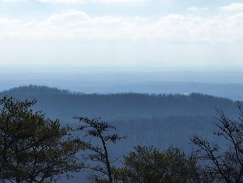 246 Andes Ridge Ellijay GA 30536