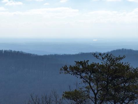 246 Andes Ridge Ellijay GA 30536