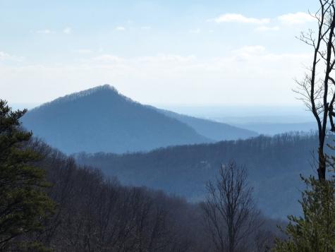 246 Andes Ridge Ellijay GA 30536