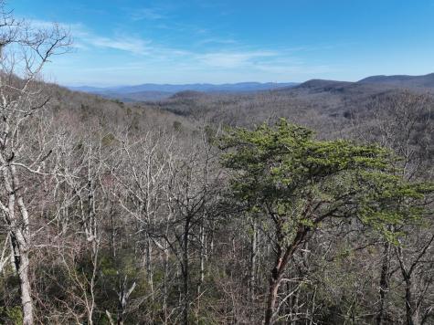 246 Andes Ridge Ellijay GA 30536