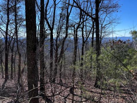 246 Andes Ridge Ellijay GA 30536