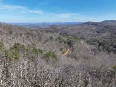 246 Andes Ridge Ellijay GA 30536
