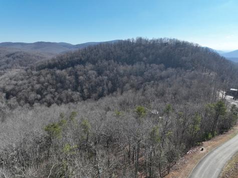 246 Andes Ridge Ellijay GA 30536