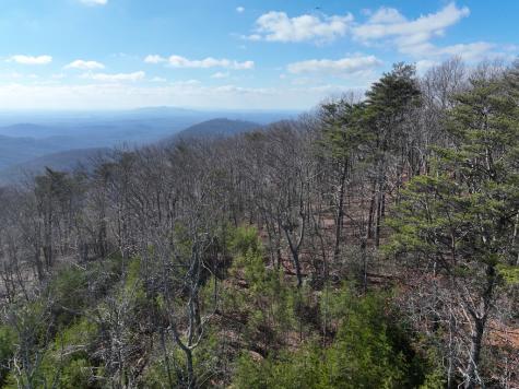 246 Andes Ridge Ellijay GA 30536