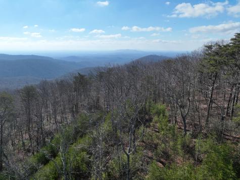 246 Andes Ridge Ellijay GA 30536