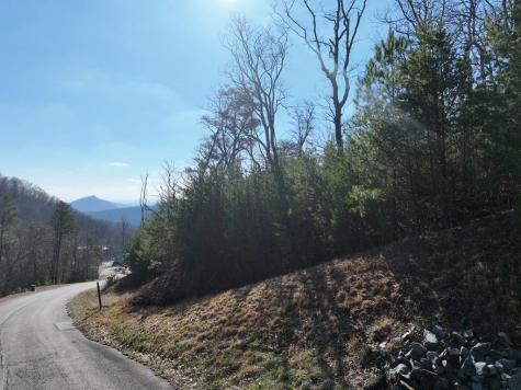 246 Andes Ridge Ellijay GA 30536