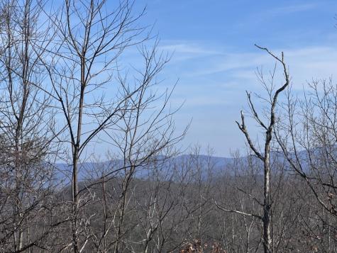 246 Andes Ridge Ellijay GA 30536