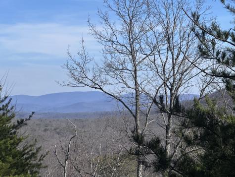 246 Andes Ridge Ellijay GA 30536