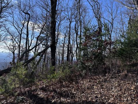 246 Andes Ridge Ellijay GA 30536