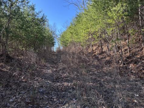 246 Andes Ridge Ellijay GA 30536