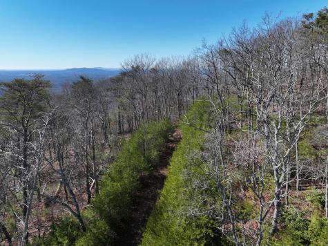 246 Andes Ridge Ellijay GA 30536