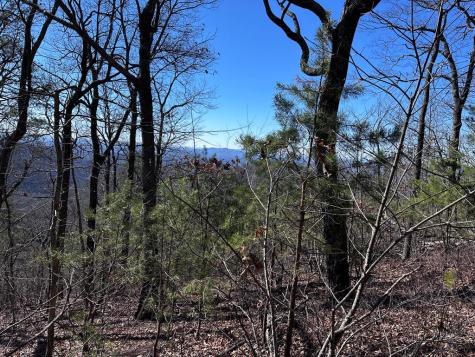 246 Andes Ridge Ellijay GA 30536